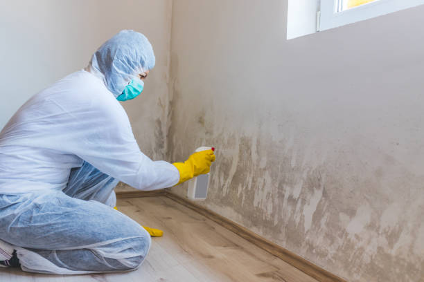 Licensed Crawl Space Mold Removal service in Clinton, TN - WQB Mold Removal