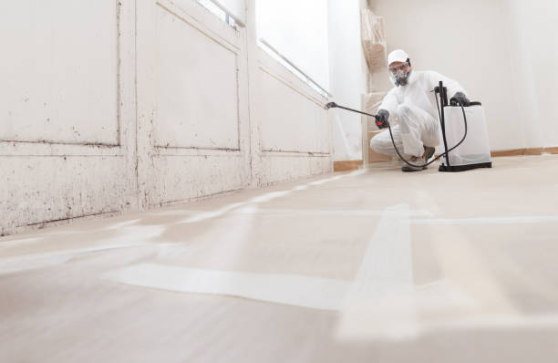 24/7 Emergency Crawl Space Mold Removal experts in Clinton, TN