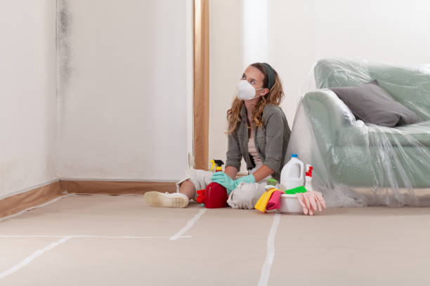 Reliable Crawl Space Mold Removal contractor in Clinton, TN by WQB Mold Removal