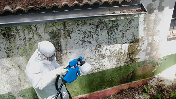 Top rated local Crawl Space Mold Removal specialists in Clinton, TN